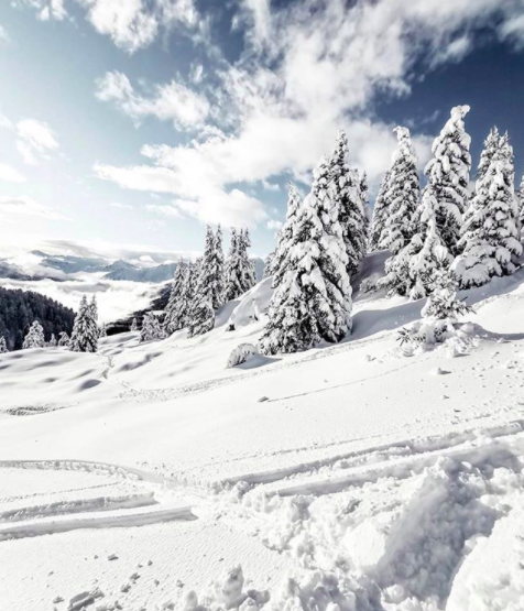 Sezon-zimowy-20202021-Winter-Event-jeden